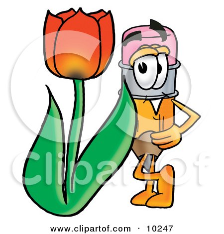 Clipart Picture of a Pencil Mascot Cartoon Character With a Red Tulip Flower in the Spring by Mascot Junction