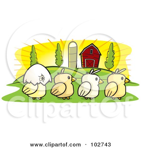 Royalty-Free (RF) Clipart Illustration of a Row Of Four Farm Chicks by Cory Thoman