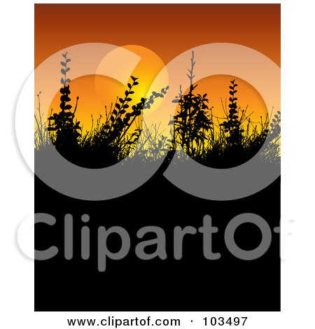 Royalty-Free (RF) Clipart Illustration of an Orange Sun Silhouetting Foliage And Grasses by KJ Pargeter