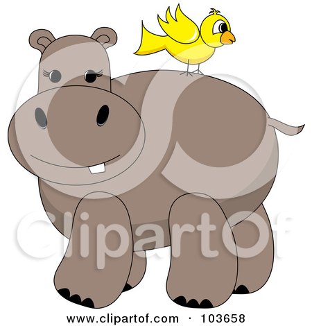 Royalty-Free (RF) Clipart Illustration of a Yellow Bird On A Hippo's Back by Pams Clipart