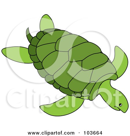 Royalty-Free (RF) Clipart Illustration of a Green Sea Turtle Swimming - 2 by Pams Clipart