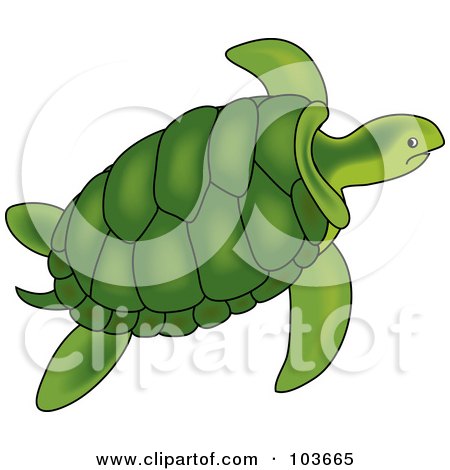Royalty-Free (RF) Clipart Illustration of a Green Sea Turtle Swimming - 1 by Pams Clipart