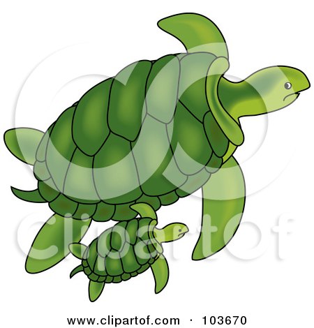 Royalty-Free (RF) Clipart Illustration of a Green Sea Turtle And Baby Swimming by Pams Clipart