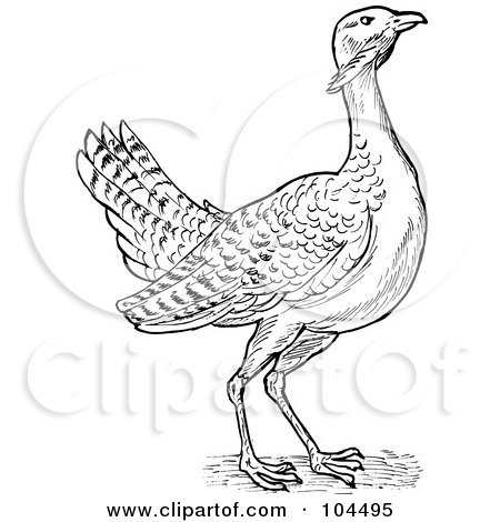 Royalty-Free (RF) Clipart Illustration of a Sketched Great Bustard Bird by patrimonio