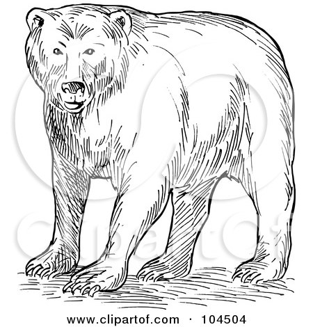 Royalty-Free (RF) Clipart Illustration of a Sketched Brown Bear by patrimonio