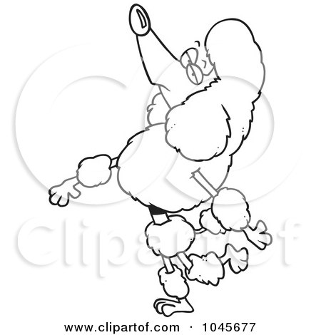 Royalty-Free (RF) Clip Art Illustration of a Cartoon Black And White Outline Design Of A Snobbish Poodle Walking Upright by toonaday