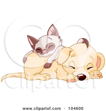 Royalty-Free (RF) Clipart Illustration of a Siamese Kitten Napping On Top Of A Cute Puppy Dog by Pushkin