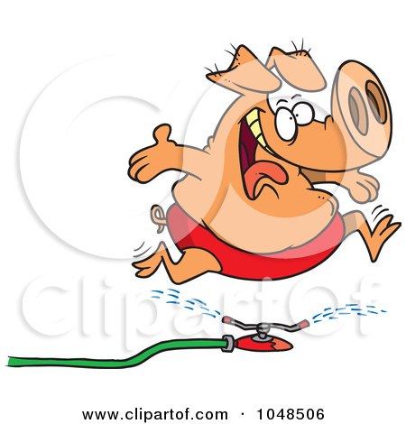 Royalty-Free (RF) Clip Art Illustration of a Cartoon Pig Running Through A Sprinkler by toonaday