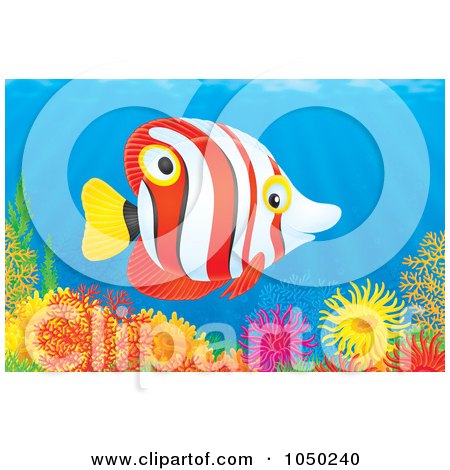 Royalty-Free (RF) Clip Art Illustration of a Red, Black, White And Yellow Marine Fish Over A Coral Reef by Alex Bannykh