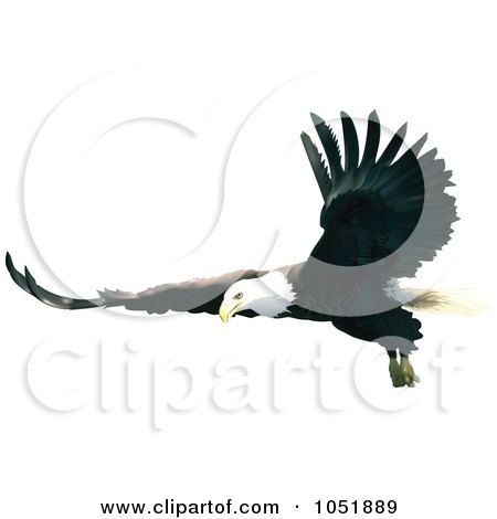 Royalty-Free Vector Clip Art Illustration of a Bald Eagle In Flight With Wings Spread Out by dero