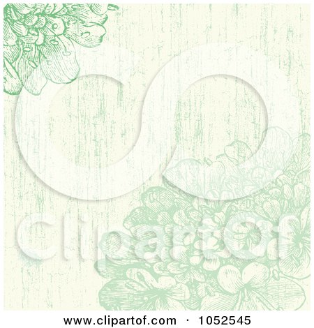 Royalty-Free Vector Clip Art Illustration of a Green Distressed Lilac Flowers Invitation Background by BestVector