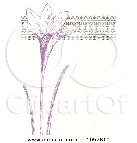 Royalty-Free Vector Clip Art Illustration of a Purple And Beige Lily Invitation Background by BestVector