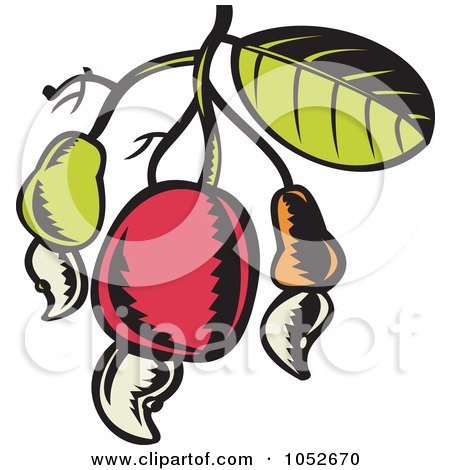 Royalty-Free Vector Clip Art Illustration of a Cashew Fruit On A Tree by patrimonio