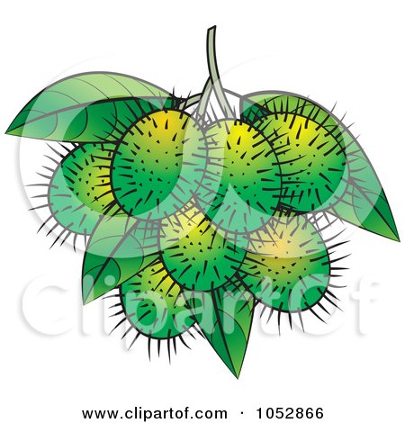 Royalty-Free Vector Clip Art Illustration of Green Rambutan Fruits by Lal Perera