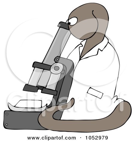 Royalty-Free Clip Art Illustration of a C Elegans Roundworm Using A Microscope by djart