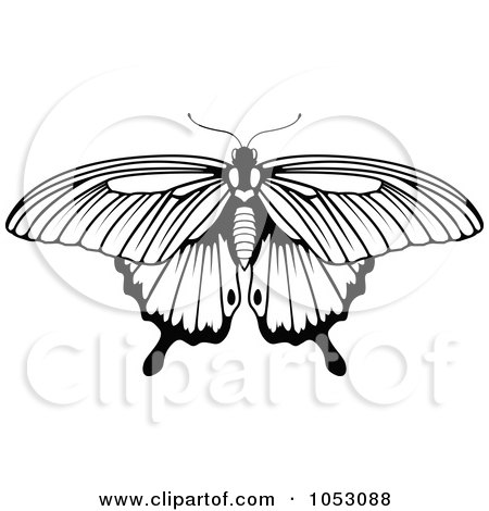 Royalty-Free Vector Clip Art Illustration of a Black And White Butterfly - 4 by AtStockIllustration
