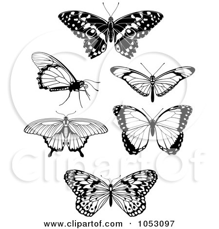 Royalty-Free Vector Clip Art Illustration of a Collage Of Black And White Butterflies by AtStockIllustration