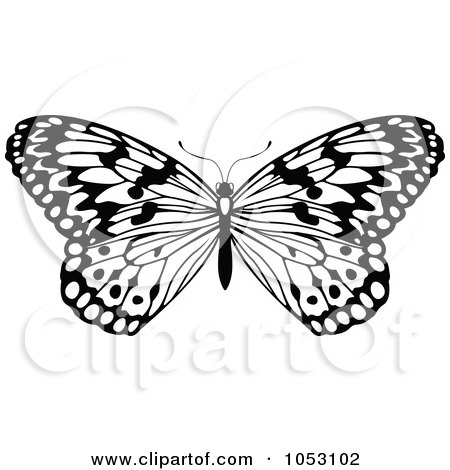 Royalty-Free Vector Clip Art Illustration of a Black And White Butterfly - 6 by AtStockIllustration