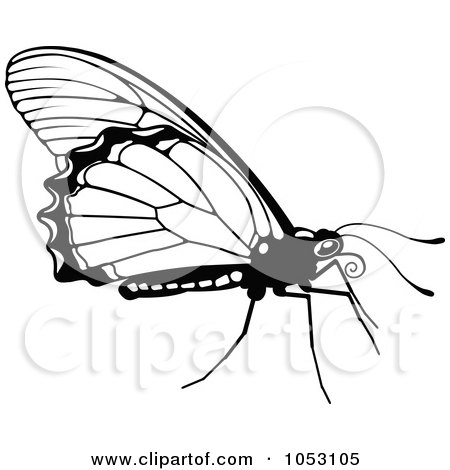 Royalty-Free Vector Clip Art Illustration of a Black And White Butterfly - 2 by AtStockIllustration