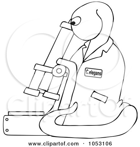 Royalty-Free Vector Clip Art Illustration of an Outline Of C Elegans Roundworm Viewing Through A Microscope by djart