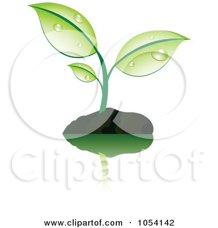 Royalty-Free Vector Clip Art Illustration of a Dewy Green Plant In Soil by vectorace