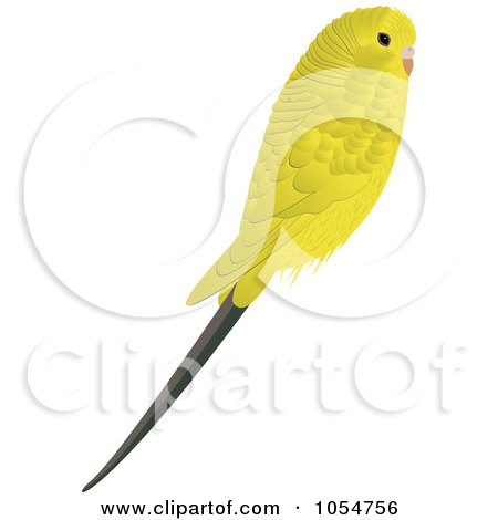 Royalty-Free Vector Clip Art Illustration of a Yellow Budgie by vectorace