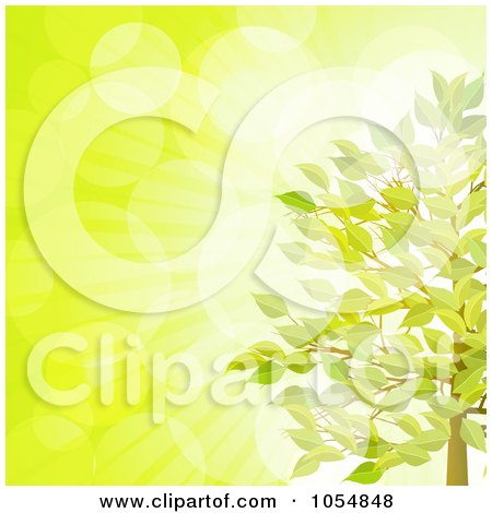 Royalty-Free Vector Clip Art Illustration of Bubbled Light Behind A Summer Tree On Green by elaineitalia