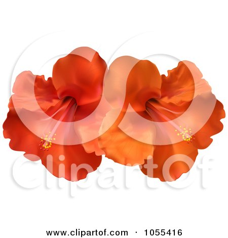 Royalty-Free Vector Clip Art Illustration of Orange And Red Hibiscus Flowers by elaineitalia