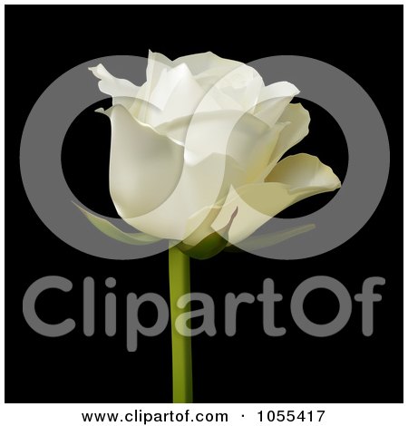 Royalty-Free Vector Clip Art Illustration of a Single White Rose On Black by elaineitalia