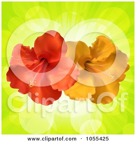 Royalty-Free Vector Clip Art Illustration of Orange And Red Hibiscus Flowers On Green Rays by elaineitalia