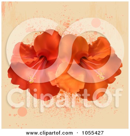 Royalty-Free Vector Clip Art Illustration of Orange And Red Hibiscus Flowers On Beige With Splatters by elaineitalia