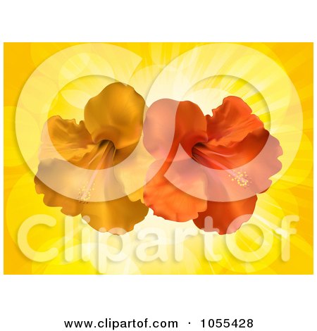 Royalty-Free Vector Clip Art Illustration of Orange And Red Hibiscus Flowers Over Yellow Rays by elaineitalia