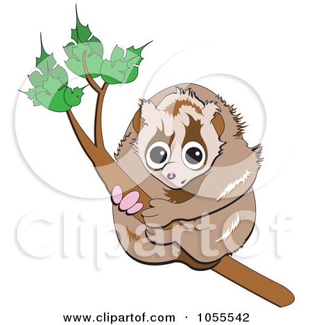 Royalty-Free Vector Clip Art Illustration of a Cute Slow Loris Hanging On To A Branch by erikalchan