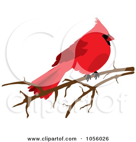 Royalty-Free Vector Clip Art Illustration of a Red Cardinal On A Bare Branch by Pams Clipart
