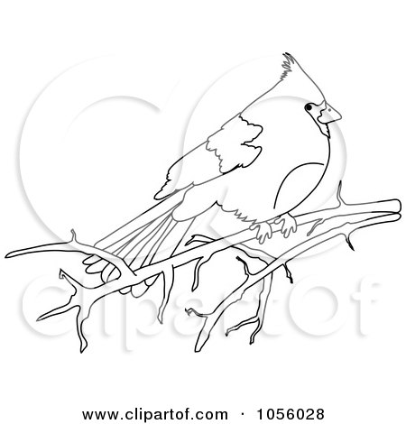 Royalty-Free Vector Clip Art Illustration of an Outline Of A Cardinal On A Bare Branch by Pams Clipart
