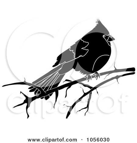 Royalty-Free Vector Clip Art Illustration of a Black And White Cardinal On A Bare Branch by Pams Clipart