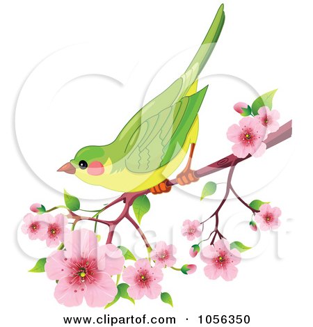 Royalty-Free Vector Clip Art Illustration of a Green Bird Perched On A Branch Of Cherry Blossoms by Pushkin