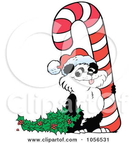 Royalty-Free Vector Clip Art Illustration of a Cute Christmas Panda With Holly And A Giant Candy Cane by Johnny Sajem