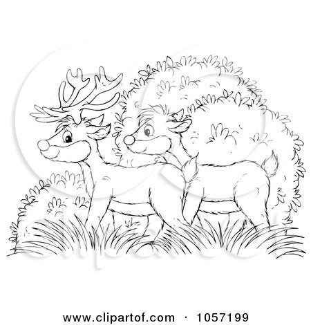 Royalty-Free Clip Art Illustration of a Coloring Page Outline Of Deer by Alex Bannykh
