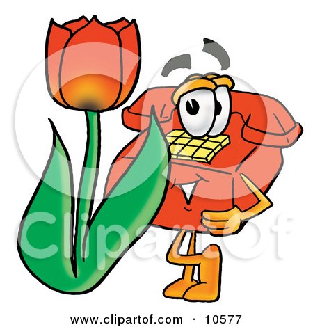 Clipart Picture of a Red Telephone Mascot Cartoon Character With a Red Tulip Flower in the Spring by Mascot Junction