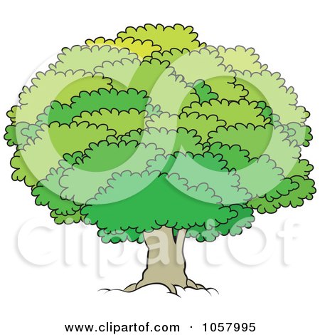 Royalty-Free Vector Clip Art Illustration of a Mature Tree With A Lush Canopy - 1 by Lal Perera