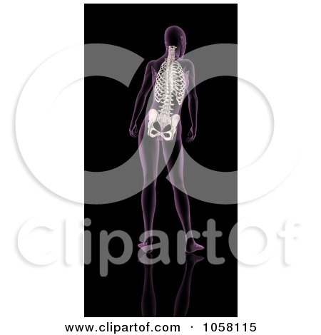 Royalty-Free CGI Clip Art Illustration of an Xray Of A Woman's Spine by KJ Pargeter