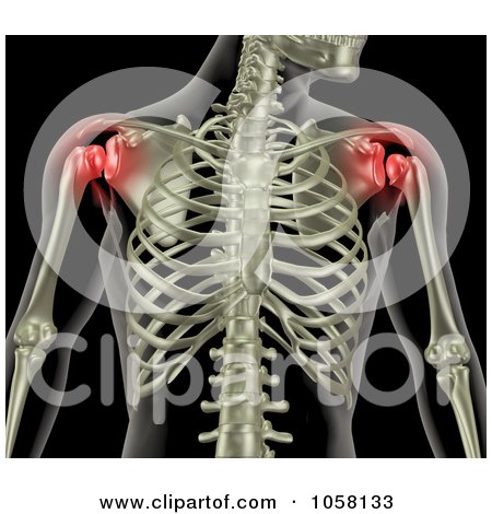Royalty-Free CGI Clip Art Illustration of a 3d Female Skeleton With Highlighted Shoulders Depicting Pain by KJ Pargeter