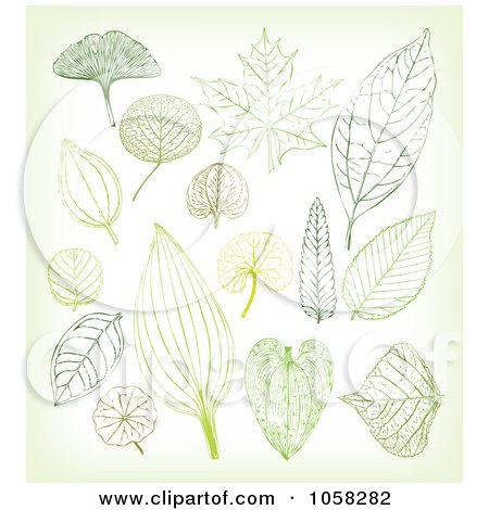Royalty-Free Vector Clip Art Illustration of a Digital Collage Of Leaves by Eugene