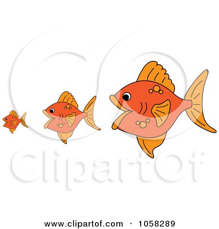 Royalty-Free Vector Clip Art Illustration of Three Gold Fish, The Bigger Ones Eating The Smaller Ones by Pams Clipart