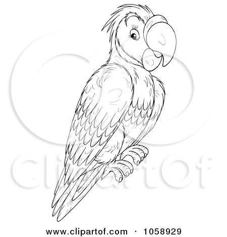 Royalty-Free Clip Art Illustration of an Outlined Parrot by Alex Bannykh