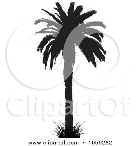 Royalty-Free Vector Clip Art Illustration of a Silhouetted Black And White Tropical Palm Tree - 1 by KJ Pargeter