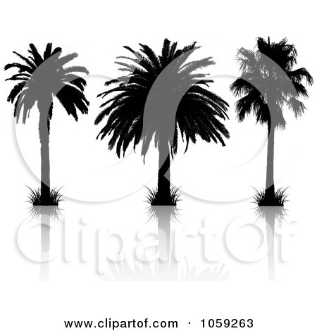 Royalty-Free Vector Clip Art Illustration of a Digital Collage Of Silhouetted Black And White Tropical Palm Trees And Reflections by KJ Pargeter