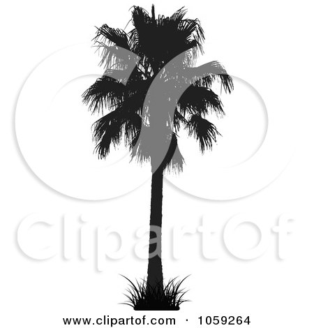 Royalty-Free Vector Clip Art Illustration of a Silhouetted Black And White Tropical Palm Tree - 3 by KJ Pargeter