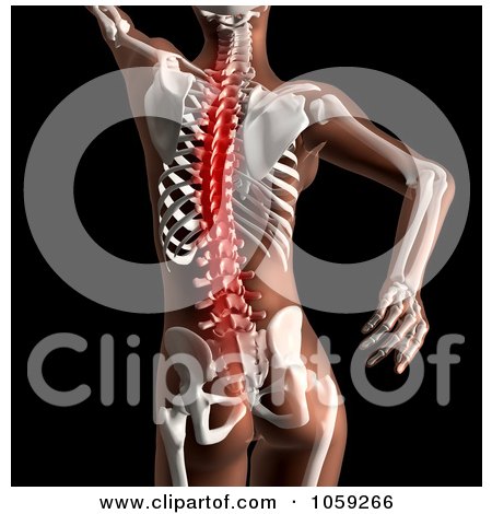 Royalty-Free CGI Clip Art Illustration of a 3d Female Skeleton With Highlighted Spinal Cord Pain by KJ Pargeter